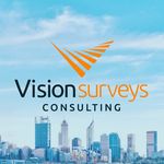 Vision Surveys Consulting discount code